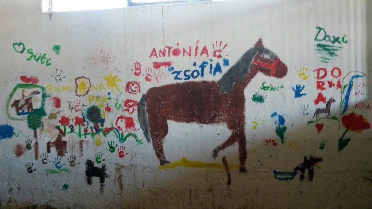 Pajzs gyakorlás lovas táborban